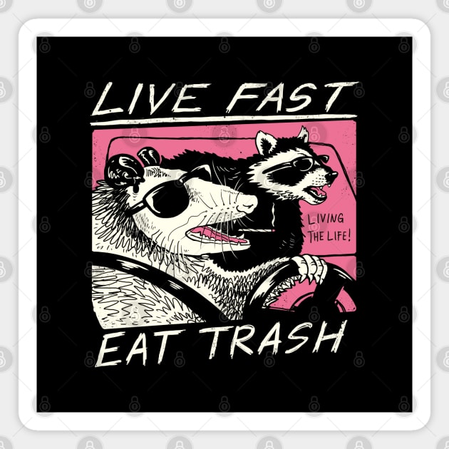 Live Fast! Eat Trash! Magnet by Vincent Trinidad Art